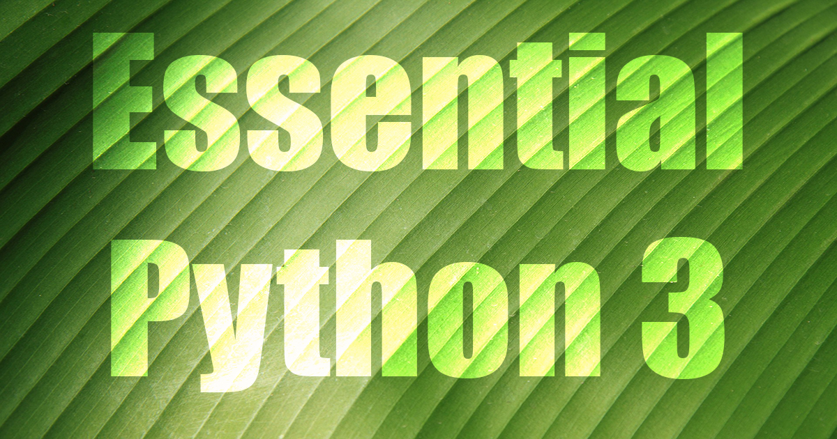 Learn to program in Python in UK and Ireland | Seer Computing